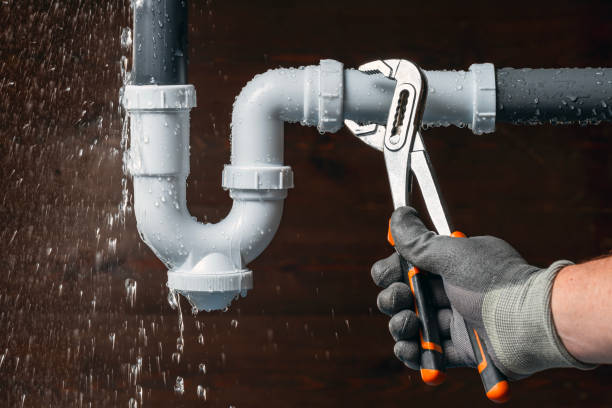 Professional Plumbing technician working in Johannesburg, CA